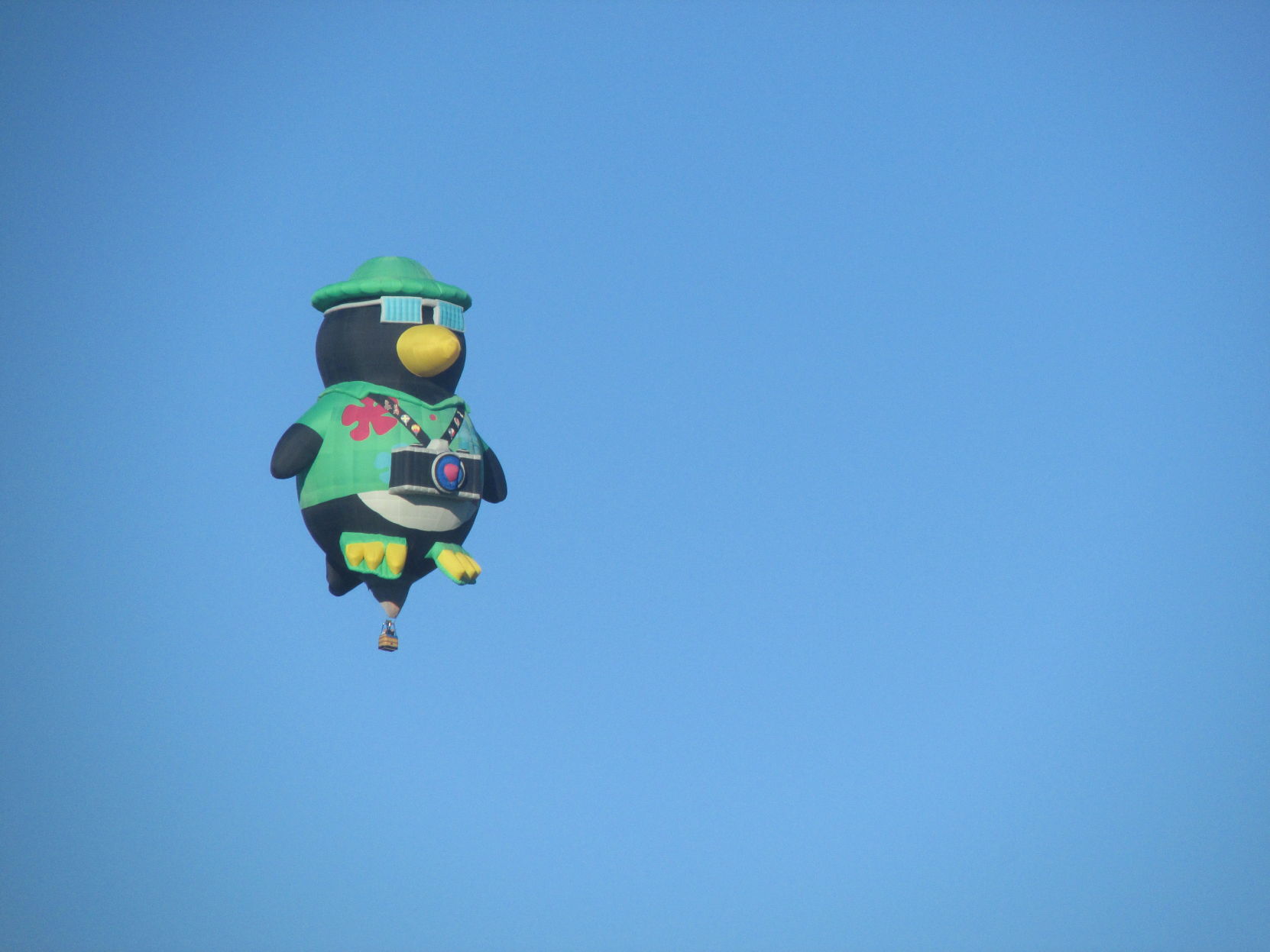 Carolina BalloonFest